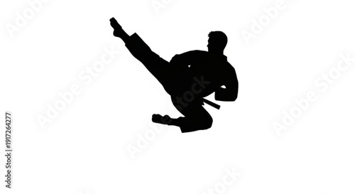 Martial arts silhouette kicking pose dynamic black figure action sports