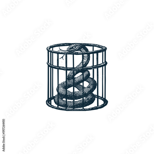 Vintage engraving illustration of a large venomous snake trapped inside a metal cage
