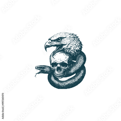 Vintage engraving illustration of a powerful eagle head combined with a human skull and a coiled snake, dark gothic mystical concept on white background.