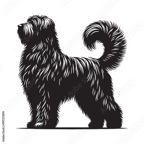 Catalan Sheepdog Loyal Herding Companion – Intelligent, Agile, Protective Farm Dog Breed with Shaggy Coat, Strong Instincts, Family Friendly Nature, Active Lifestyle Partner and Versatile Work.