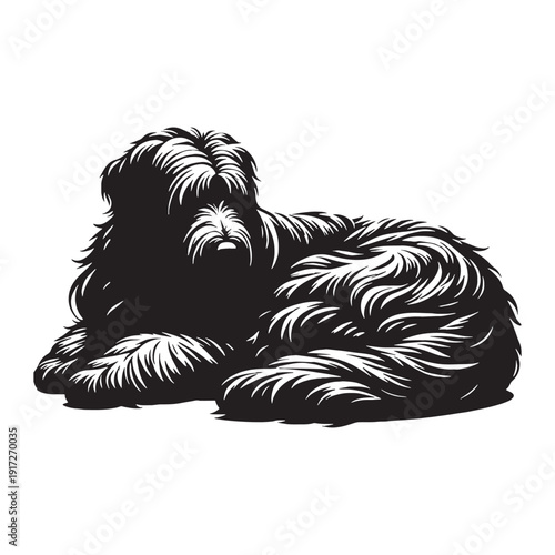 Catalan Sheepdog Loyal Herding Companion – Intelligent, Agile, Protective Farm Dog Breed with Shaggy Coat, Strong Instincts, Family Friendly Nature, Active Lifestyle Partner and Versatile Work.