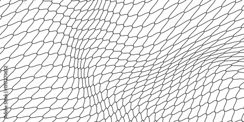 Net texture pattern on white background. Net texture pattern for backdrop and wallpaper. Realistic net pattern with black squares. Geometric background, vector illustration