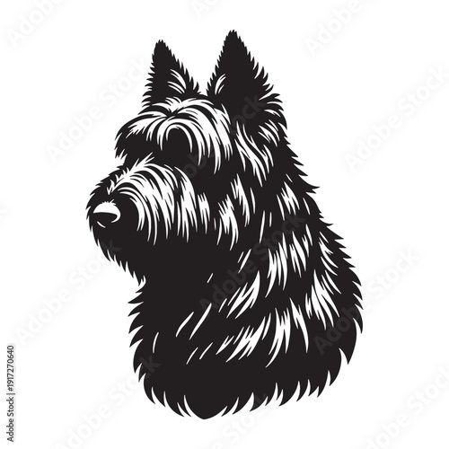 Catalan Sheepdog Loyal Herding Companion – Intelligent, Agile, Protective Farm Dog Breed with Shaggy Coat, Strong Instincts, Family Friendly Nature, Active Lifestyle Partner and Versatile Work.