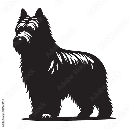 Catalan Sheepdog Loyal Herding Companion – Intelligent, Agile, Protective Farm Dog Breed with Shaggy Coat, Strong Instincts, Family Friendly Nature, Active Lifestyle Partner and Versatile Work.