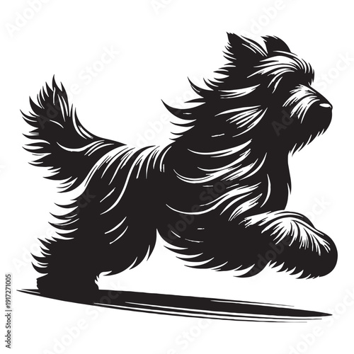 Catalan Sheepdog Loyal Herding Companion – Intelligent, Agile, Protective Farm Dog Breed with Shaggy Coat, Strong Instincts, Family Friendly Nature, Active Lifestyle Partner and Versatile Work.