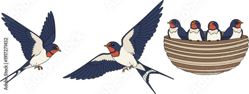 Illustration of two adult swallows flying above nest with four baby birds, natural family scene, ornithology and wildlife education artwork