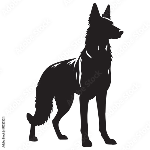 Dutch Shepherd Intelligent Working Dog – Loyal, Athletic, Protective Guardian with Brindle Coat, Strong Herding Instincts, Police and Military Companion, Highly Trainable, Energetic Family Protect.