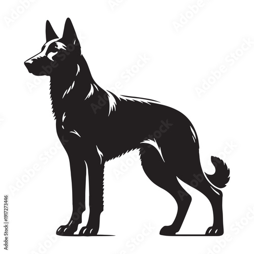 Dutch Shepherd Intelligent Working Dog – Loyal, Athletic, Protective Guardian with Brindle Coat, Strong Herding Instincts, Police and Military Companion, Highly Trainable, Energetic Family Protect.