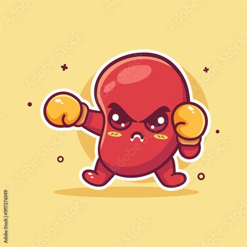 serious kidney organ character mascot playing boxing sport isolated cartoon