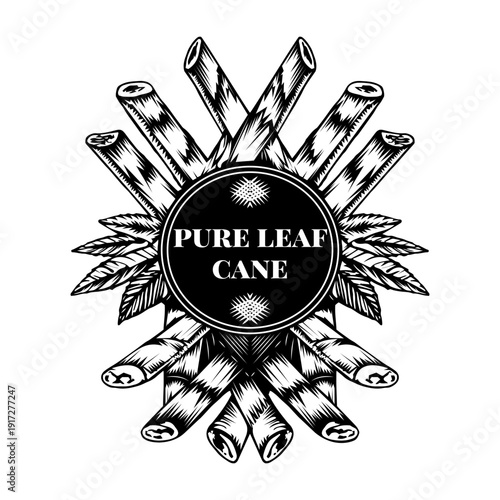 A vintage style illustration showing espresso beans

