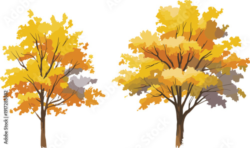 Autumn trees with yellow and orange foliage illustration, fall season forest landscape isolated on white background, decorative botanical clipart for seasonal design