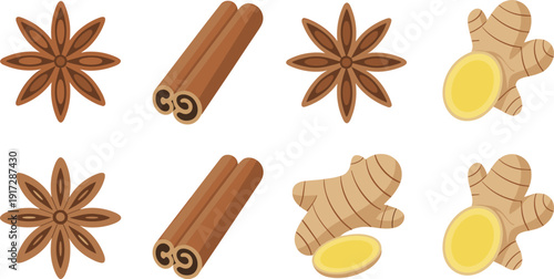 Ginger root cinnamon sticks and star anise vector illustration set isolated on white background for cooking spice design kitchen food