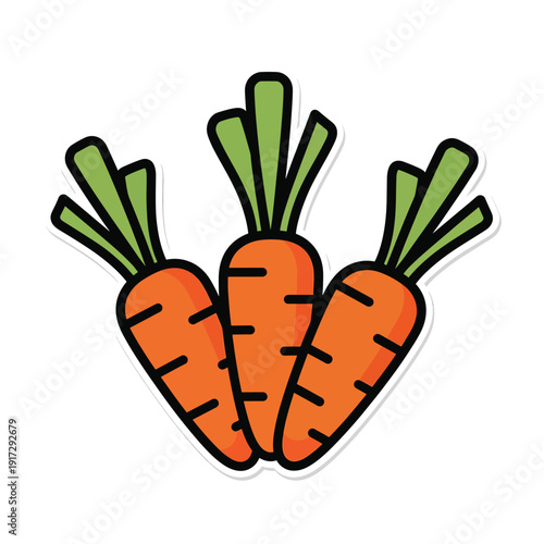 Three vibrant orange carrots with green tops arranged together in a simple, outlined cartoon style on a clean white background viewed directly.