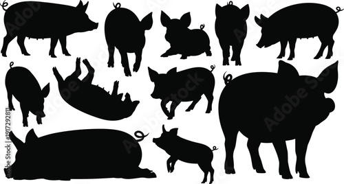 Pig silhouettes vector set illustration, farm pork animals in multiple poses standing walking running lying playing, black livestock shapes isolated on white background
