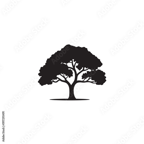 Tropical Kadamba Tree Shape for Nature and Environment Concept