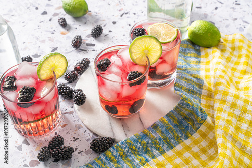 Refreshing berry lime fruity summer cocktail. Boozy beverage