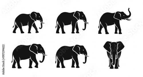 Set of six elephant silhouettes in various poses.