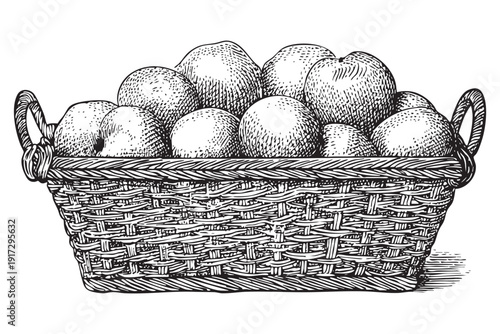 Rectangular basket filled with apples, vintage engraving, transparent vector