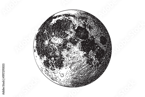 Full moon vector illustration engraving sketch transparent black and white on background
