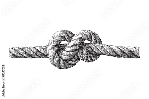 Rope knot vector illustration sketch engraving on transparent background black and white securing object art