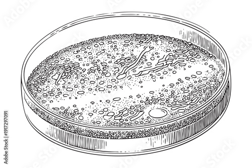 Petri dish with biological culture on transparent background vector sketch illustration