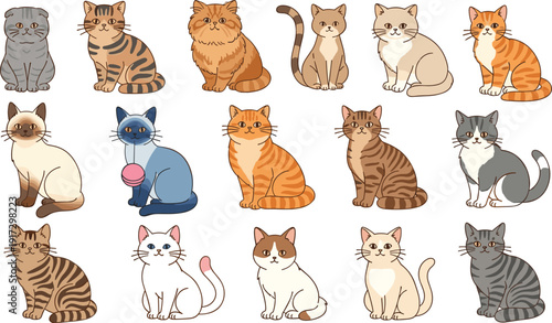 Cat breed illustration megaset with Siamese Scottish Fold orange tabby and grey cats for pet branding and adoption signage
