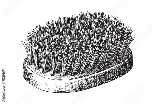 Handheld scrubbing brush detailed sketch on transparent background vector illustration isolated