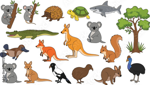 Australian wildlife vector illustration set with kangaroo koala crocodile and cassowary for nature education and travel branding