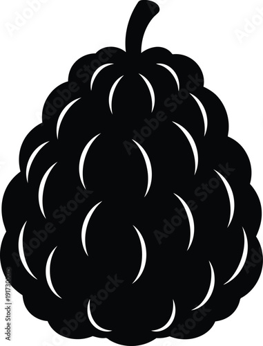 Blackberry fruit illustration