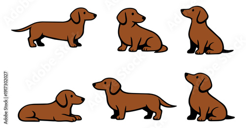Line art dachshund dog set featuring cute pets in different poses and positions for pet care and animal themes