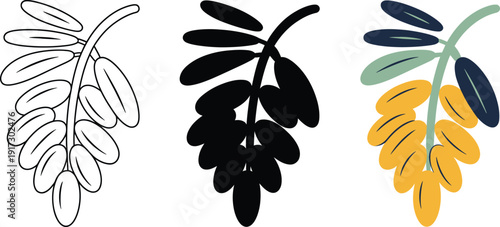 Date fruit branch vector icons set in outline silhouette and colorful flat style for ramadan
