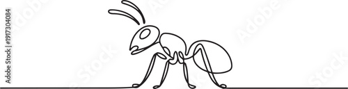Continuous line drawing of an ant minimalist. one line Art icon drawing vector