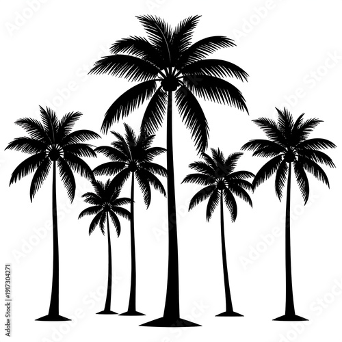 Wallpaper Mural Black silhouette of various-sized palm trees arranged on a white backdrop, evocative of tropical landscapes Torontodigital.ca