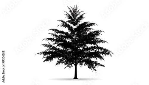 Wallpaper Mural Black silhouette of a deciduous tree against a white backdrop, demonstrating its layered foliage. The tree has a rounded form Torontodigital.ca