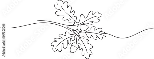 Oak branch with acorn drawn in one line. Floral sketch. Continuous line drawing autumn leaves. one line Art icon drawing vector