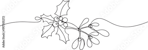 Holly berry drawn by one line. Floral sketch. Continuous line drawing mistletoe. one line Art icon drawing vector