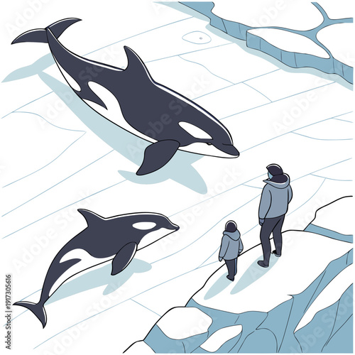 Orcas swim near icy shore with two people whale snow