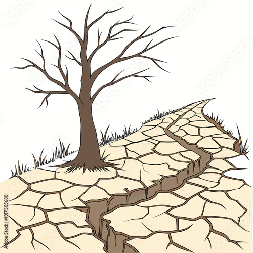 Barren tree on cracked dry earth with sparse grass 1