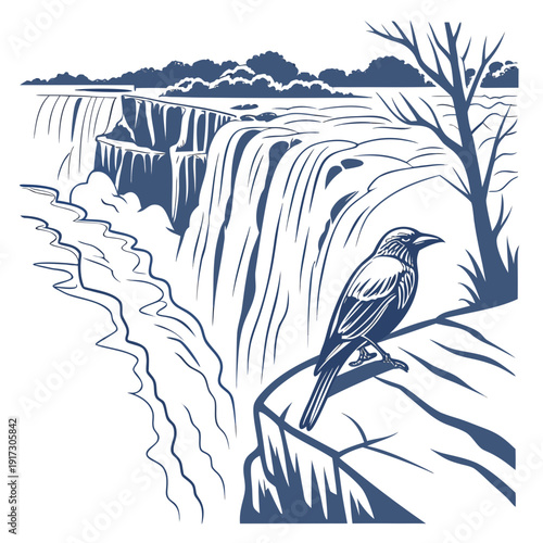 Blue and white of bird on cliff overlooking waterfall