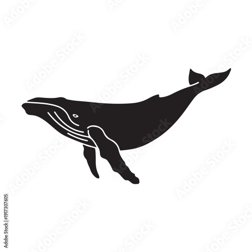 Majestic Blue Whale Swimming Silhouette Graphic