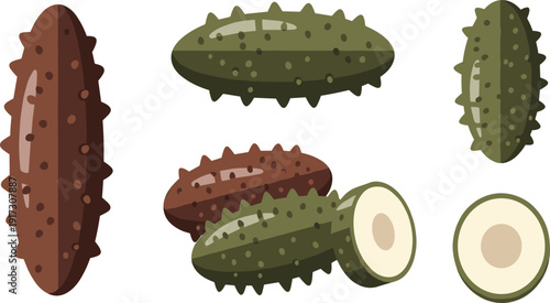 Sea Cucumber Whole and Sliced Marine Seafood Vector Illustration Set with Isolated Ocean Delicacy Elements for Asian Cuisine and Gourmet Menu Design.