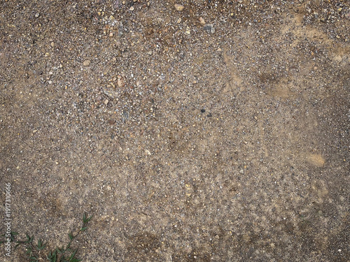 Close-up texture of a dry, gravelly ground surface with hints of vegetation