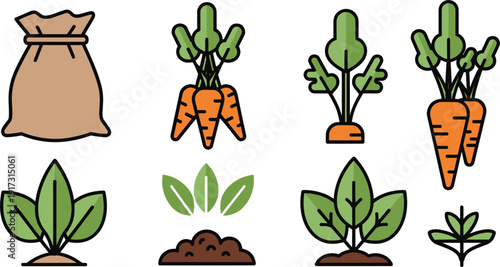 Carrot harvest and gardening elements set, flat vector illustrations with bunches of fresh carrots, garden sack, young plant sprouts in soil and green leaf icons isolated on white background.