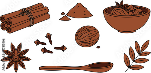Aromatic spices and culinary herbs set with cinnamon sticks, star anise, cloves, nutmeg and wooden bowl on white background.