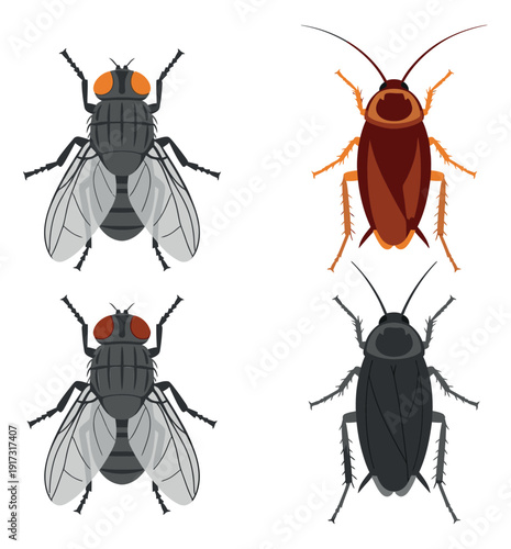 Stylized vector insect pest set featuring two flies and two cockroaches for pest control advertising