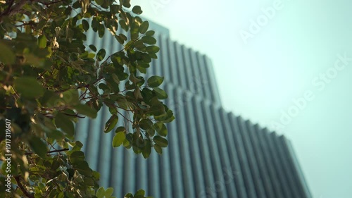 Green leaves of a tree with a blurred modern skyscraper building in the background, concept of green city, sustainable architecture, environmental conservation in urban areas, Eco-friendly office 