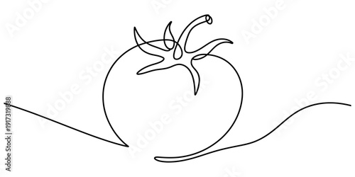 Minimalist continuous line drawing of a fresh tomato with a stem on a white background Vector, illustration