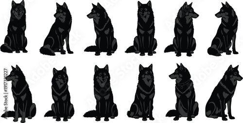 Black wolf silhouette set with various sitting poses and head turns, dark dog character turnaround vector illustration isolated on white for wildlife graphic design