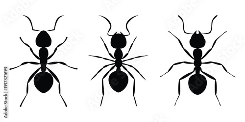 ant silhouette vector, small animal sign and symbol, crawling ant silhouette vector