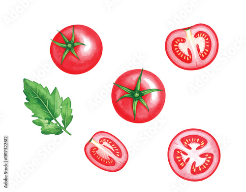Fresh tomatoes and leaf vector watercolor illustration transparent background for healthy food and cooking ingredients